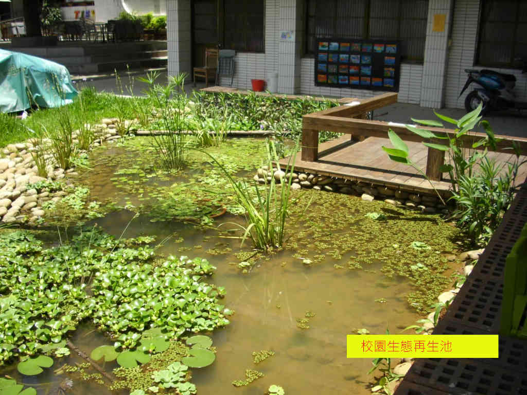 中壢國小永續校園